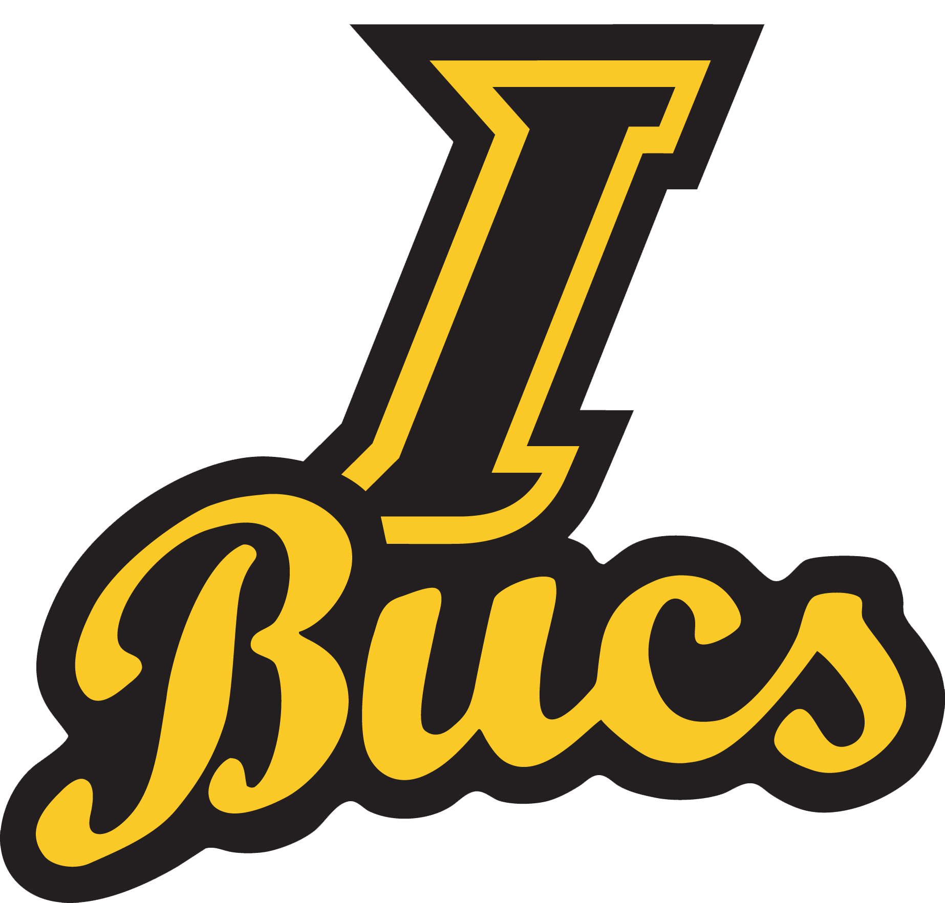 ibucs